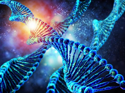 The Science of Heredity: Genetics